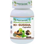 Planet Ayurveda KI-Guggul 500 mg 60 kapslí – Hledejceny.cz