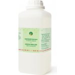 Evei vodní emulze do parní lázně borovice 1 kg – Hledejceny.cz