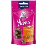 Vitakraft Cat Yums Kuře & kočičí tráva 40 g – Sleviste.cz