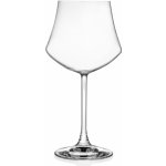 Rcr ego Wine Tasting Goblet sklenice na víno a koktejly 498 ml – Hledejceny.cz