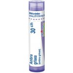 AMBRA GRISEA POR 30CH GRA 1X4G – Hledejceny.cz