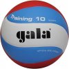 Volejbalový míč Gala BV5567S Training 10