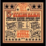 ERNIE BALL 2312 – Zboží Mobilmania