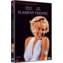 Slaměný vdovec DVD