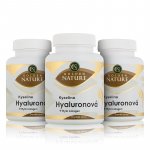 Golden Nature Kys. Hyaluronová + Rybí kolagen + C 300 kapslí – Hledejceny.cz