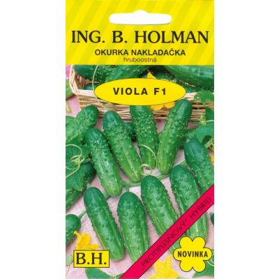 ING. B. HOLMAN Okurka nakl. Holman - Viola F1 hr 2,5 g