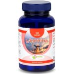 Natural Pharm L karnitín 100 tablet – Hledejceny.cz