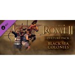Total War: ROME 2 Black Sea Colonies Culture Pack – Hledejceny.cz
