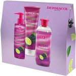 Dermacol Aroma Ritual Grape & Lime pěna do koupele 500 ml + sprchový gel 250 ml + tekuté mýdlo 250 ml dárková sada – Hledejceny.cz