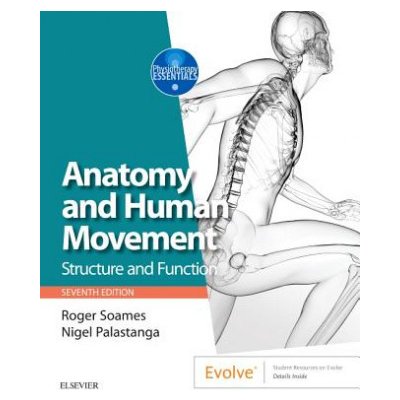 Anatomy and Human Movement