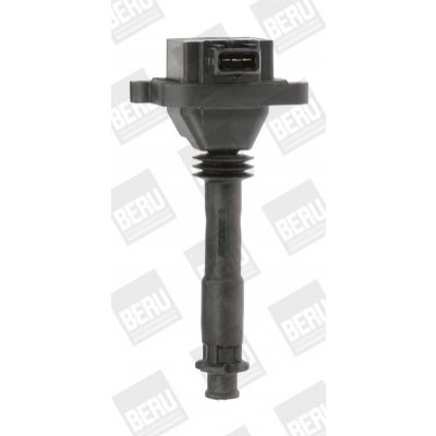 Zapalovací cívka BorgWarner (BERU) ZS310 – Hledejceny.cz