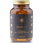 NaturLabs hořčík chelátový + vitamín B6 90 kapslí – Hledejceny.cz