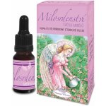 Hanna Maria Andělská aromaterapie POŽEHNÁNÍ 20 ml – Hledejceny.cz
