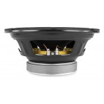 Fenton WPP25 – Sleviste.cz