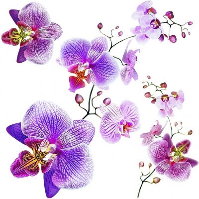 Samolepicí dekorace Orchids, 30 x 30 cm