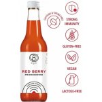 Bala21 Probiodrink Red Berry Kombucha s probiotiky 330 ml – Hledejceny.cz