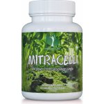 For long life MITRACELL 80 minerálů z Paraquaye pro energii a imunitu 60 kapslí 30 dní – Hledejceny.cz