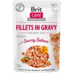 Brit Care Cat Fillets in Gravy Savory Salmon 85 g – Sleviste.cz