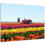 Skleněný obraz tulipánové farmy, jednodílný 70x50 cm na skle – Sleviste.cz