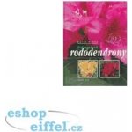 Stálezelené rododendrony – Hledejceny.cz