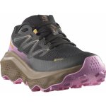 Salomon Ultra Flow 2 GTX W L47884400 black/iron/cyclamen – Sleviste.cz