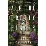 All the Pretty Places: A Novel of the Gilded Age Callaway JoyPaperback – Hledejceny.cz