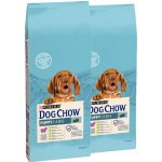 Purina Dog Chow Puppy Lamb & Rice 2 x 14 kg – Hledejceny.cz