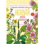 Omalovánka A5 Herbář II. – Hledejceny.cz
