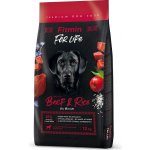 Fitmin For Life Beef & Rice kompletní 12 kg – Zboží Mobilmania