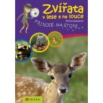 Stromy a keře – Hledejceny.cz