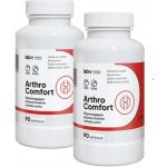 Lab V Arthro Comfort Komplexní podpora zdraví kloubů a pohybového aparátu pro psy a kočky 2 x 90 kapslí – Hledejceny.cz