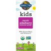 Doplněk stravy na imunitu Garden of Life Kids Organic Elderberry Immune Syrup 116 ml