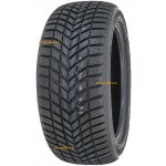Infinity Ecozen 195/65 R15 95T – Hledejceny.cz