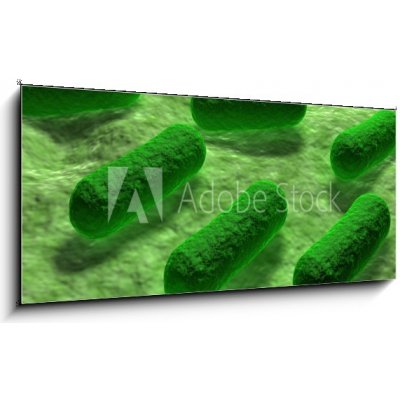 Obraz 1D panorama - 120 x 50 cm - E coli Bacteria. Bakterie E coli. – Zbozi.Blesk.cz