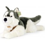 Eco- Friendly Rappa pes husky ležící 60 cm – Zboží Mobilmania