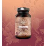 Herbalus ASHWAGANDHA standardizovaný 10% extrakt 120 kapslí – Hledejceny.cz