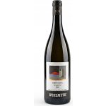 Weingut Wohlmuth Morillon Ried Gola Südsteiermark Dac Chardonnay suché bílé 2020 13% 0,75 l (holá láhev) – Hledejceny.cz