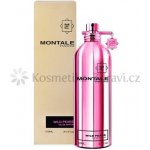 Montale Wild Pears parfémovaná voda unisex 100 ml – Hledejceny.cz