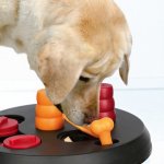 Trixie Dog Activity Kuželky a kostičky FLIP BOARD 23 x 3 cm – Zboží Mobilmania