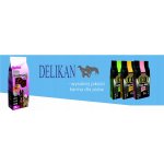 Delikan Dog MAXIMO Maintenance 20 kg – Sleviste.cz