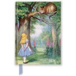 Alice & the Cheshire Cat Luxury Pocket Diary Planner Week to View 2026 – Zbozi.Blesk.cz