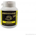 Carp Servis Václavík Aminokomplex Dip Slunečnice 90 ml – Hledejceny.cz