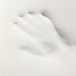 Molitan Memory 200x120x5cm, 40 kg/m3 – Hledejceny.cz