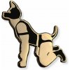 Erotický šperk Master of the House Pin Puppy Play - připínací špendlík