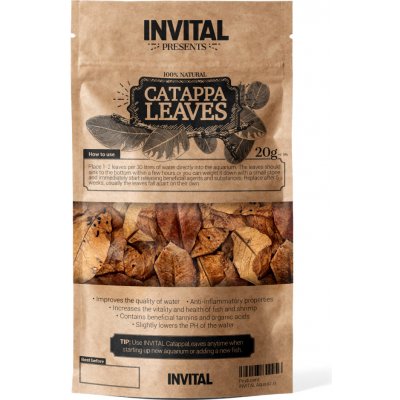 Invital CatappaLeaves 20 g – Zboží Dáma Invital CatappaLeaves 20 g – Zboží Dáma