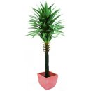 Juka palma v květináči 165 cm
