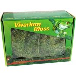 Lucky Reptile Vivarium Moss 150 g – Zboží Mobilmania