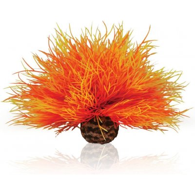 BiOrb Sea lilies ohnivočervená 11 cm – Hledejceny.cz