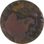 Tropical Ichtio-Vit 250 ml, 50 g – Zbozi.Blesk.cz
