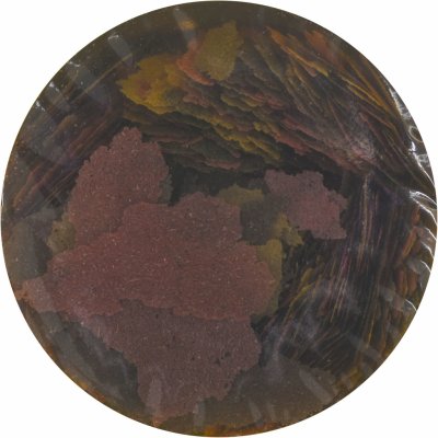 Tropical Ichtio-Vit 250 ml, 50 g – Zbozi.Blesk.cz
